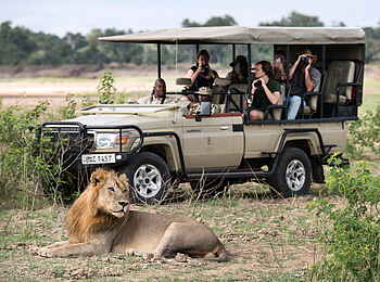 Shawa Luangwa Camp: Auf Pirschfahrt