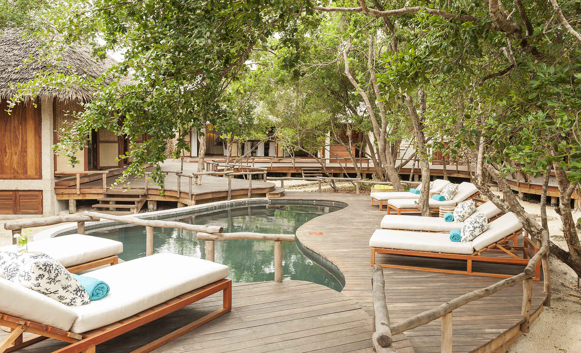 Vamizi Island: Papilio Swimmingpool außenbereich, Papilio, swimmingpool, &Beyond, Mosambik, Vamizi Island, afrikarma, afrikarma safaris, afrikarma safaris - wildnis. hautnah, afrikarma.de