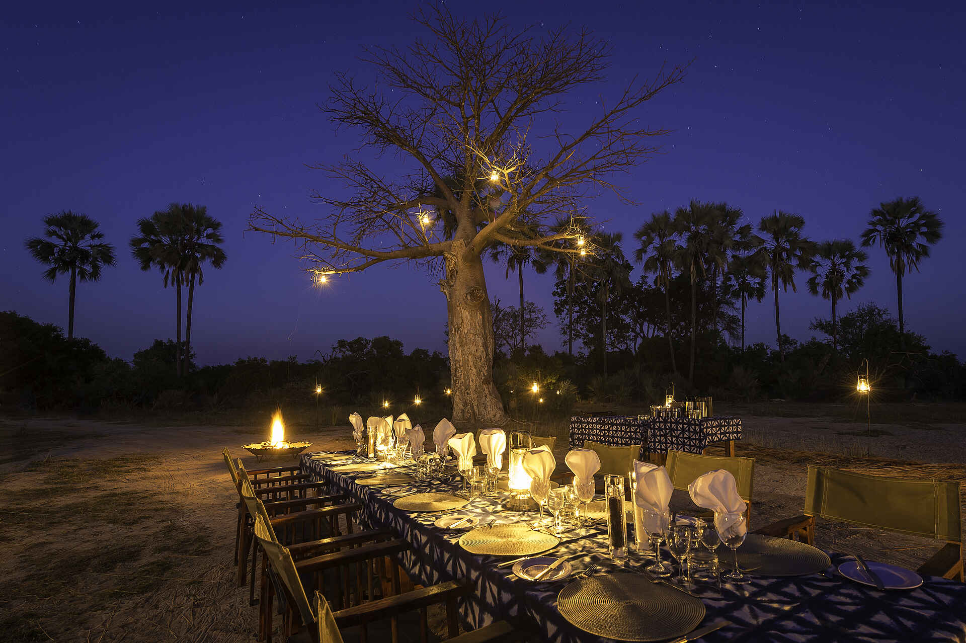 Kwetsani Camp: Romantisches Buschdinner Afrikarma, Afrikarma Safaris, Afrikarma Safaris - Wildnis. Hautnah., Afrikarma.de, Kwetsani Camp, Bäume, Besteck, Büsche, Campingstühle, Feuerplatz, gedeckter Tisch, Palmen, Parafinlampen, Servietten, Teller, Tischdecke, Tischset, Weingläser