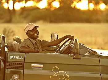 Lion Camp: Guide im Geländefahrzeug