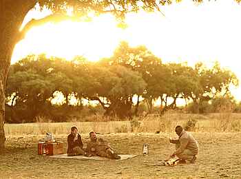 Lion Camp: Pärchen unter einem Baum