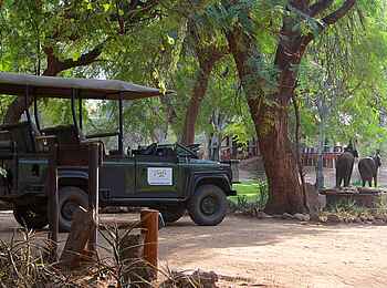 Tuli Safari Lodge Mashatu: Safari-Fahrzeug