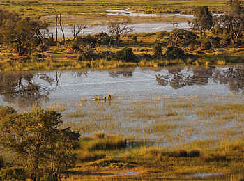 Belmond Eagle Island Lodge: Die Landschaft aus der Luft Belmond Eagle Island Lodge: Die Landschaft aus der Luft