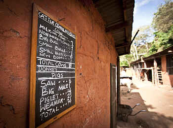 Gibbs Farm: Alles im Griff