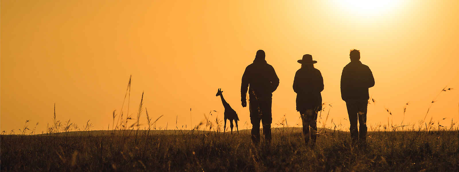 Mara Plains Jahazi Suite: Walking Safari Mara Plains Jahazi Suite: Walking Safari