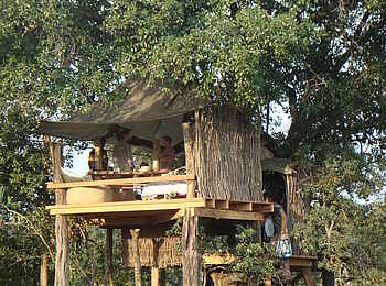 Ngare Serian Camp: Baumhaus für besondere Anlässe