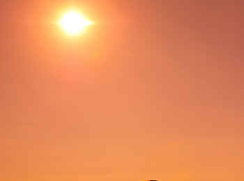 Pumulani Lodge: Dhowunter der Sonne