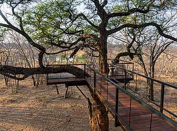 Tum Tum Treehouse Lodge: Steg