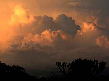 Legendary Mwiba Lodge: Leuchtende Wolkentürme Legendary Mwiba Lodge: Leuchtende Wolkentürme