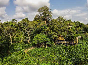 Ngaga Camp: Gästeunterkunft in den Baumkronen