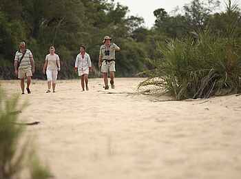 &Beyond Ngala Tented Camp: Buschwanderung