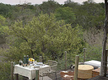 Lion Sands Kingston Treehouse: Blick auf die Bäume