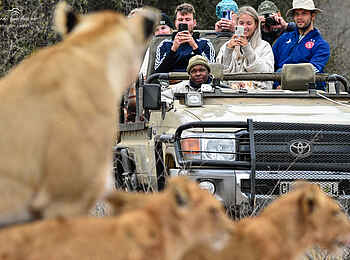 Mohlabetsi Safari Lodge: Auf Pirschfahrt Mohlabetsi Safari Lodge: Auf Pirschfahrt