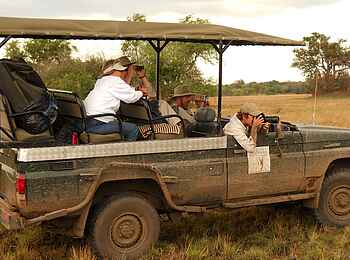 Mukambi Fig Tree Bush Camp: Die Game Drives werden für die perfekten Fotos unterbrochen
