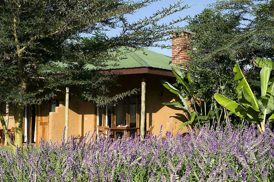 Ngorongoro Farmhouse: Garten vor Gästezimmer Ngorongoro Farmhouse: Garten vor Gästezimmer
