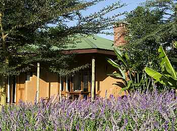 Ngorongoro Farmhouse: Garten vor Gästezimmer Ngorongoro Farmhouse: Garten vor Gästezimmer