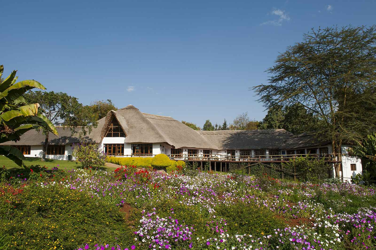 Ngorongoro Farmhouse: Umliegende Gärten Ngorongoro Farmhouse: Umliegende Gärten
