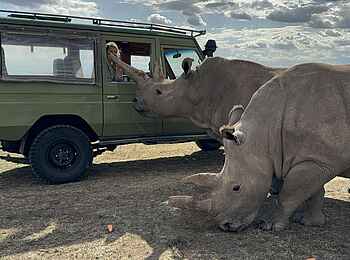 Ol Pejeta Bush Camp: Begegung mit Nashörnern