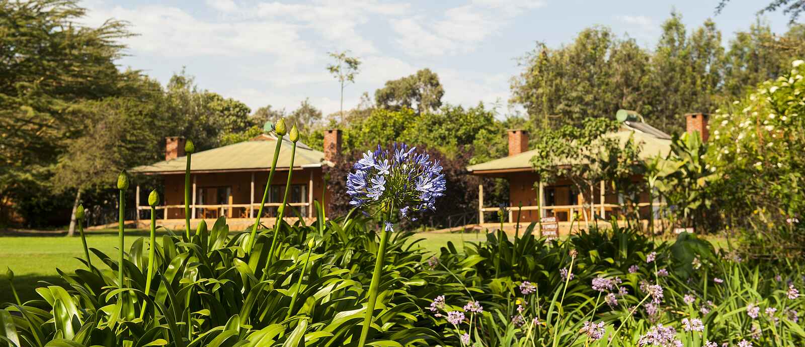 Tloma Lodge: Der Blick aus den Gärten auf zwei Chalets Tloma Lodge: Der Blick aus den Gärten auf zwei Chalets