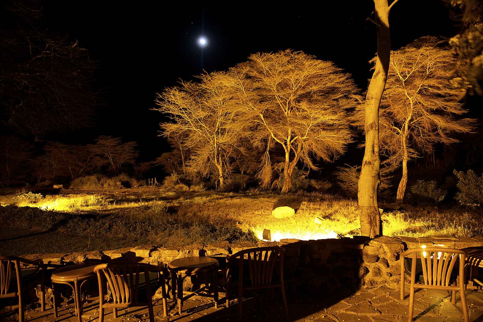 Amboseli Serena Safari Lodge: Nächtliches Lagerfeuer Amboseli Serena Safari Lodge: Nächtliches Lagerfeuer