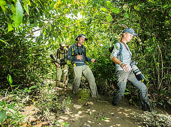 Lango Camp: Der Guide führt mitten durch den Urwald Lango Camp: Der Guide führt mitten durch den Urwald