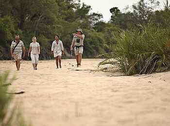 &Beyond Ngala Safari Lodge: Erkundungstouren zu Fuß