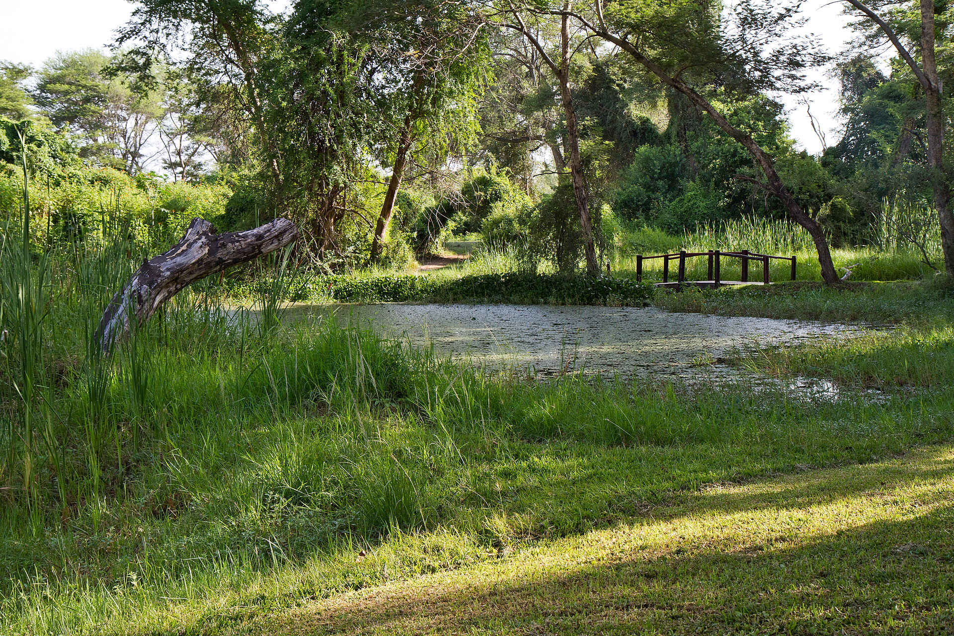 Chundukwa River Lodge, Doug Evans, Gail Kleinschmidt, Reitstall, Viktoriafälle, Garten, Teich, Afrikarma, Afrikarma Safaris, Afrikarma Safaris - Wildnis. Hautnah., Afrikarma.de