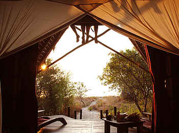 Greystoke Mahale: Blick aus der Unterkunft