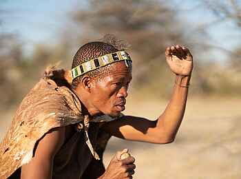 Planet Baobab: Buschmann Planet Baobab: Buschmann