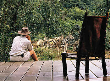 Makweti Safari Lodge: Zebras vor der Terrasse