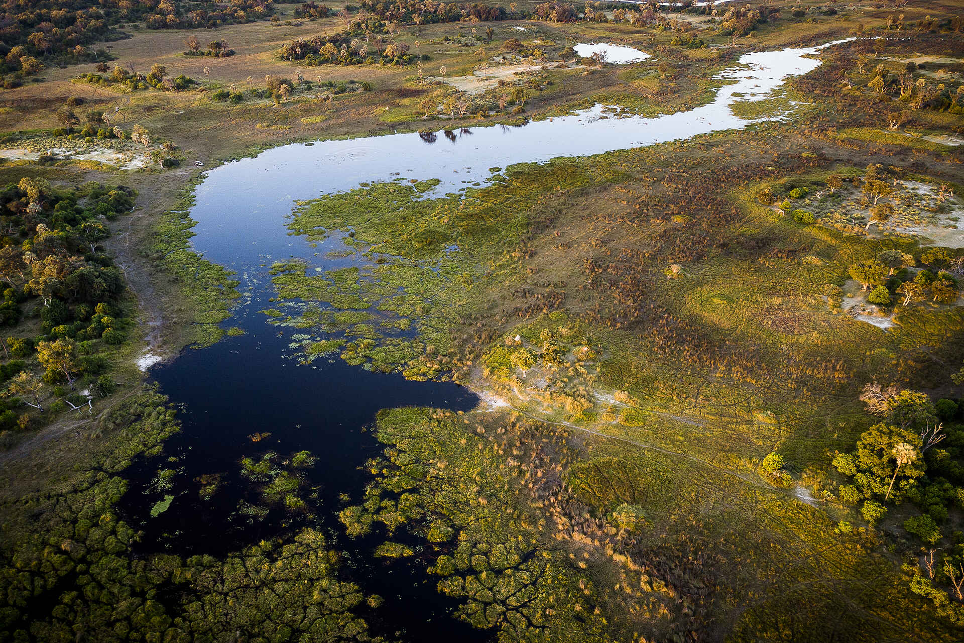 Sanctuary Stanley's Camp: Luftaufnahme der Umgebung Sanctuary Stanley's Camp: Luftaufnahme der Umgebung