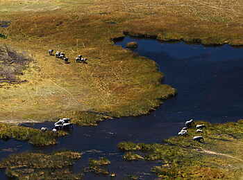 Selinda Camp: Elefanten und Flusslandschaft