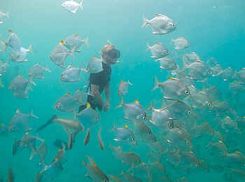 Time + Tide Miavana: Tauchgang