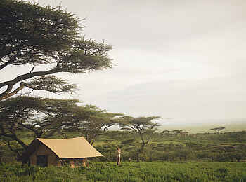 Charlie Sanjan Safari Camp: Zeltumgebung