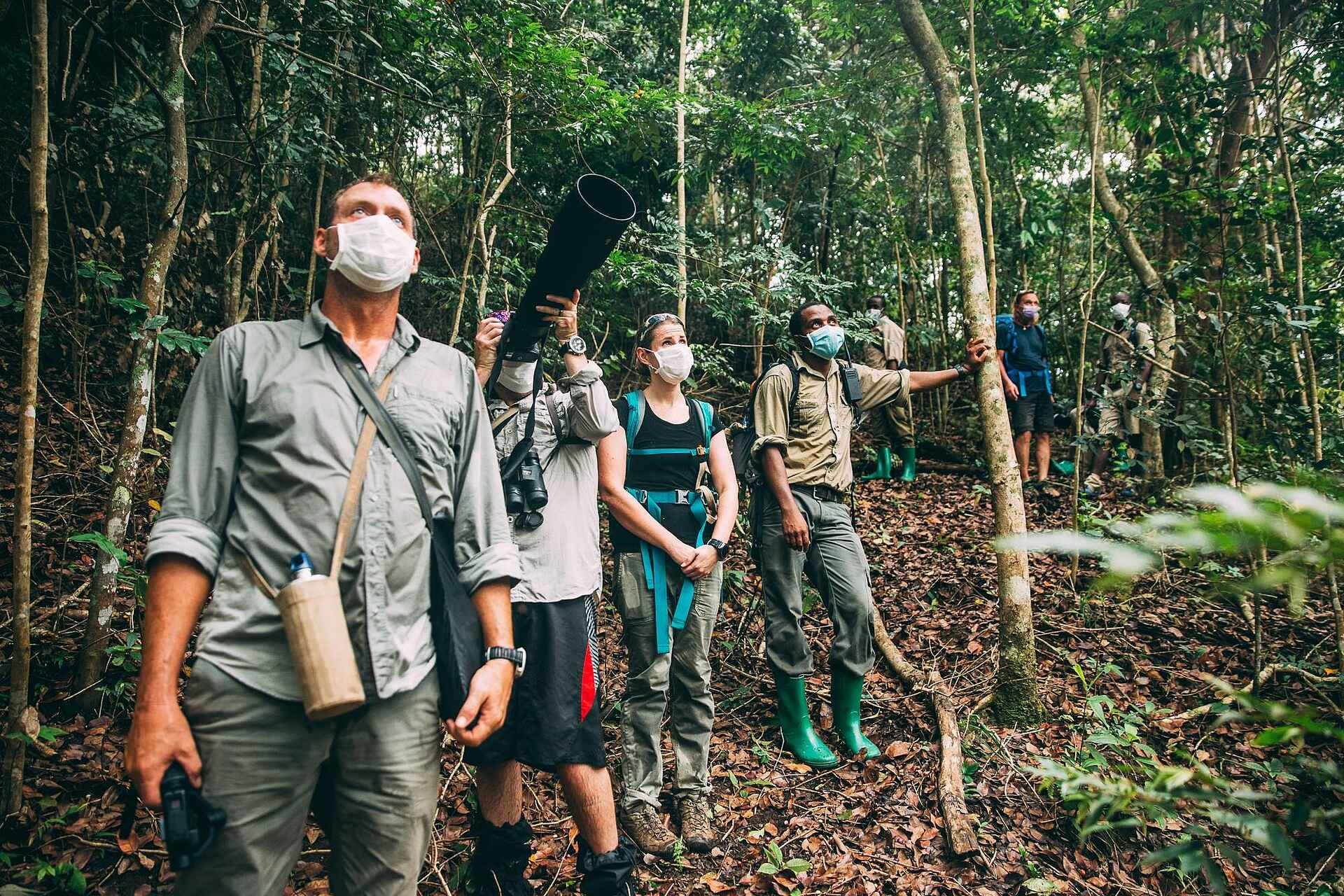 Greystoke Mahale Lodge: Im Dschungel