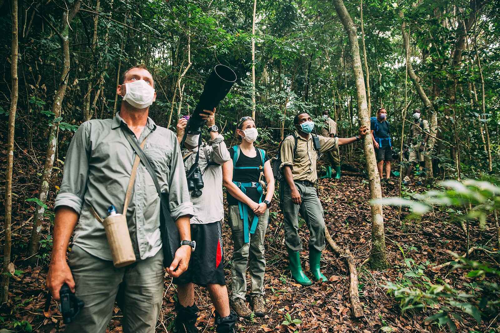 Greystoke Mahale Lodge: Im Dschungel Greystoke Mahale Lodge: Im Dschungel