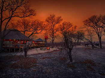 Elephant Pan Camp: Abendstimmung