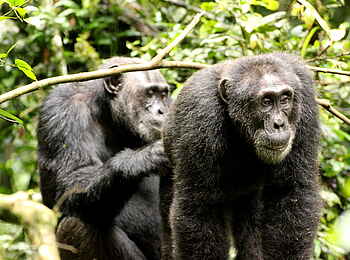 Papaya Lake Lodge: Fürsorge