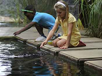 Phinda Homestead: Kinder am Teich Phinda Homestead: Kinder am Teich