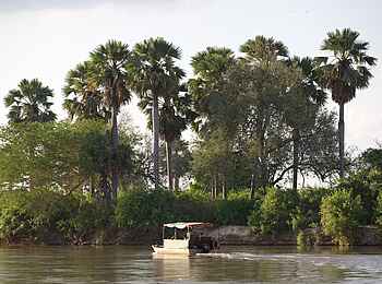Rufiji River Camp: Boot-Safari Rufiji River Camp: Boot-Safari