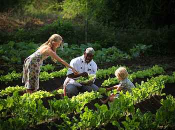 Tortilis Camp: Eigener Gemüsegarten Tortilis Camp: Eigener Gemüsegarten