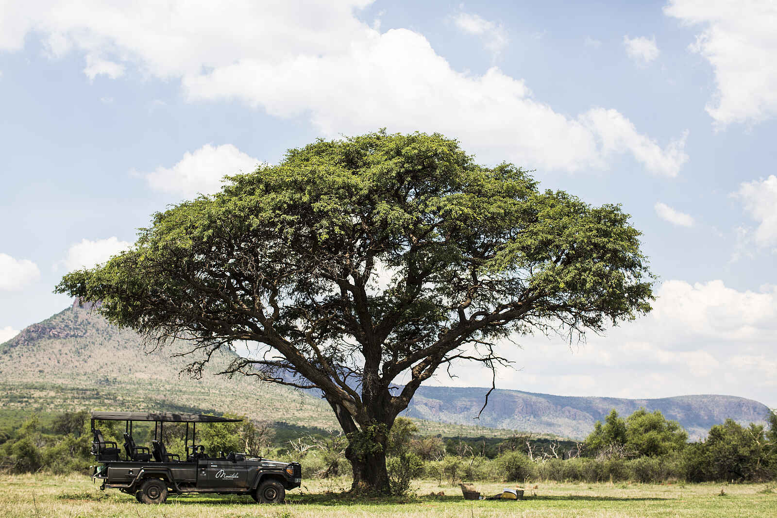 Marataba Safari Lodge: Safari Jeep unter einem Baum Marataba Safari Lodge: Safari Jeep unter einem Baum