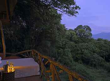 Sarara Tree: Bett unter freiem Himmel Sarara Tree: Bett unter freiem Himmel