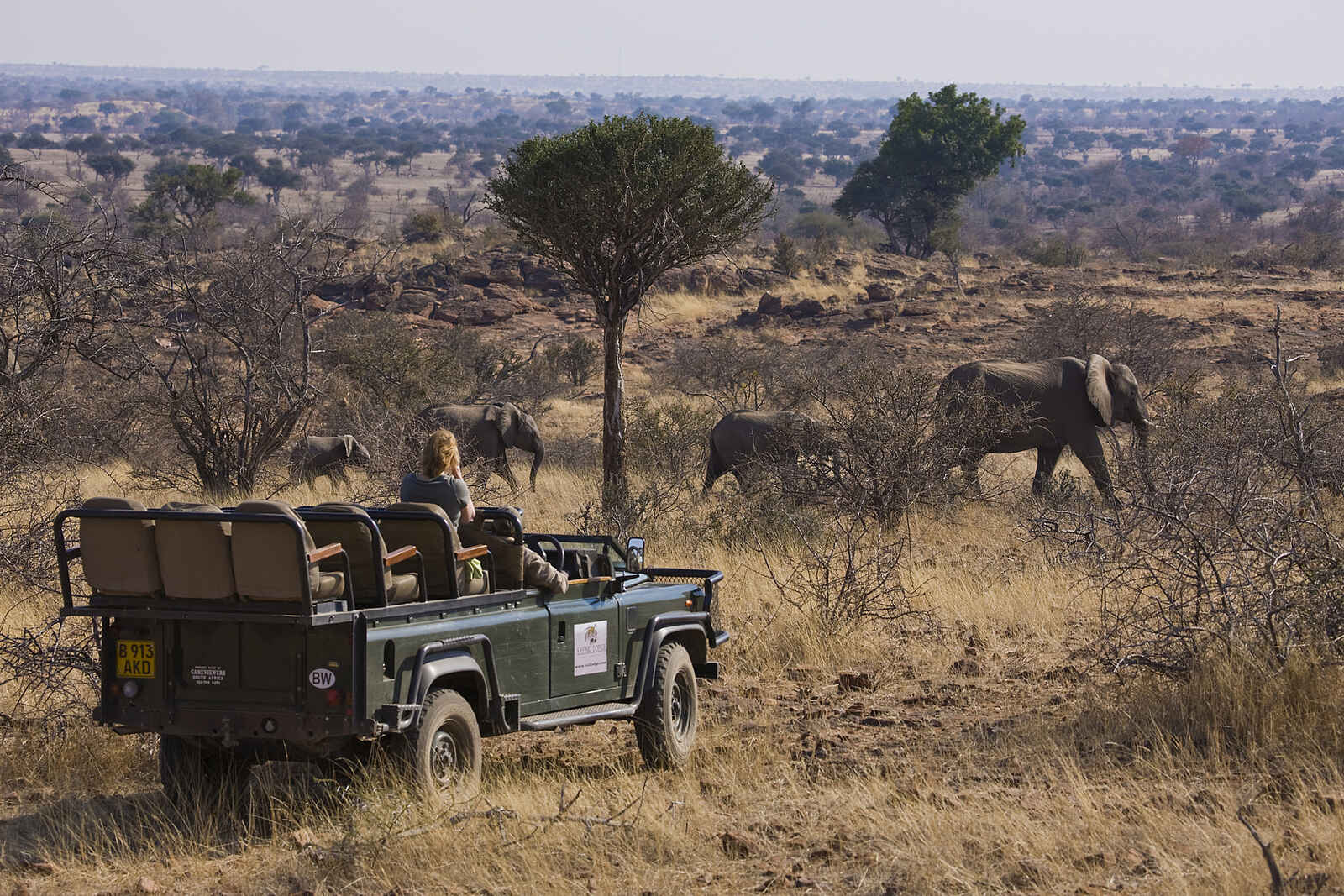 Tuli Safari Lodge Mashatu: Auf Pirschfahrt Tuli Safari Lodge Mashatu: Auf Pirschfahrt