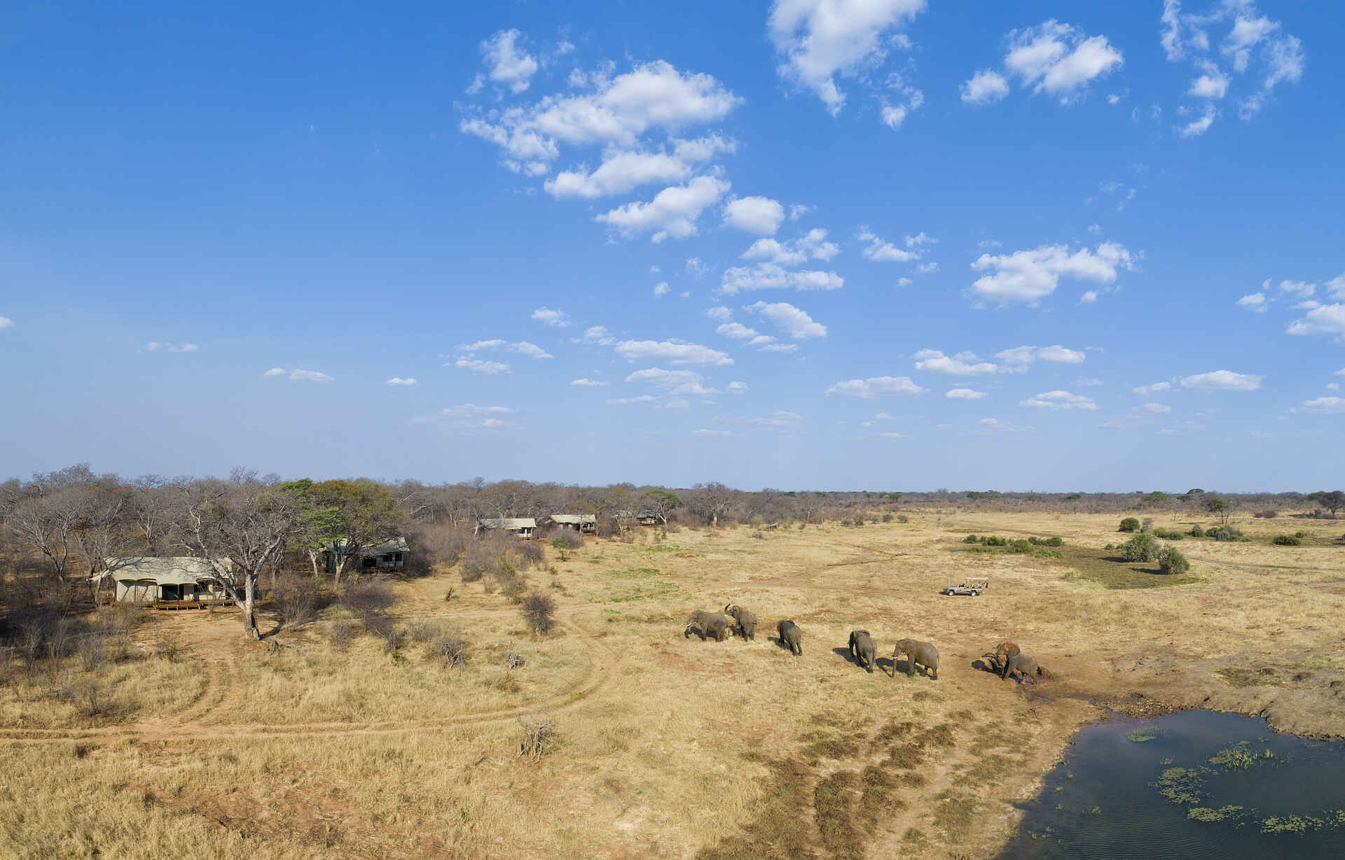 Hwange National Park, Machaba Safaris, Verney's Camp, Elefant, Gästeunterkunft, Landschaft, Wasserstelle, Afrikarma, Afrikarma Safaris, Afrikarma Safaris. Wildnis. Hautnah., Afrikarma.de