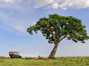 Angama Safari Camp: Game Drive Angama Safari Camp: Game Drive