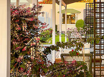 Brigadoon Boutique Guesthouse: Die Terrasse Brigadoon Boutique Guesthouse: Die Terrasse