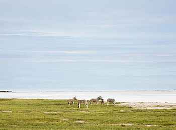 Etosha: Weitläufigkeit im Etosha Nationalpark