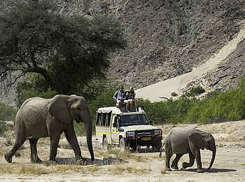 Hoanib Skeleton Coast Camp: Elefantensafari Hoanib Skeleton Coast Camp: Elefantensafari