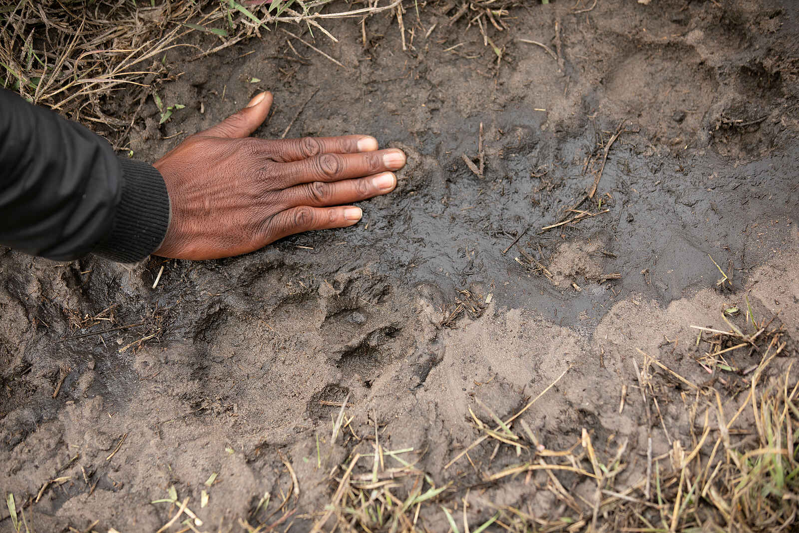 Okavango Explorers Camp: Spurensuche Okavango Explorers Camp: Spurensuche